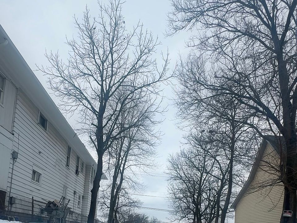 1st image of 310 N Hamilton Ave