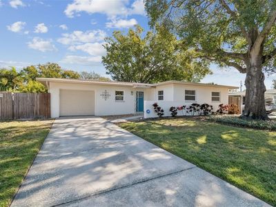 4705 W Alline Ave, Tampa, FL, 33611