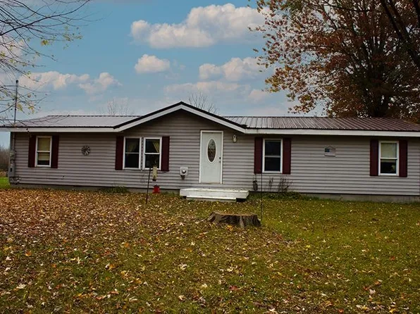 4167 S Geneva Rd, Saint Louis, MI 48880