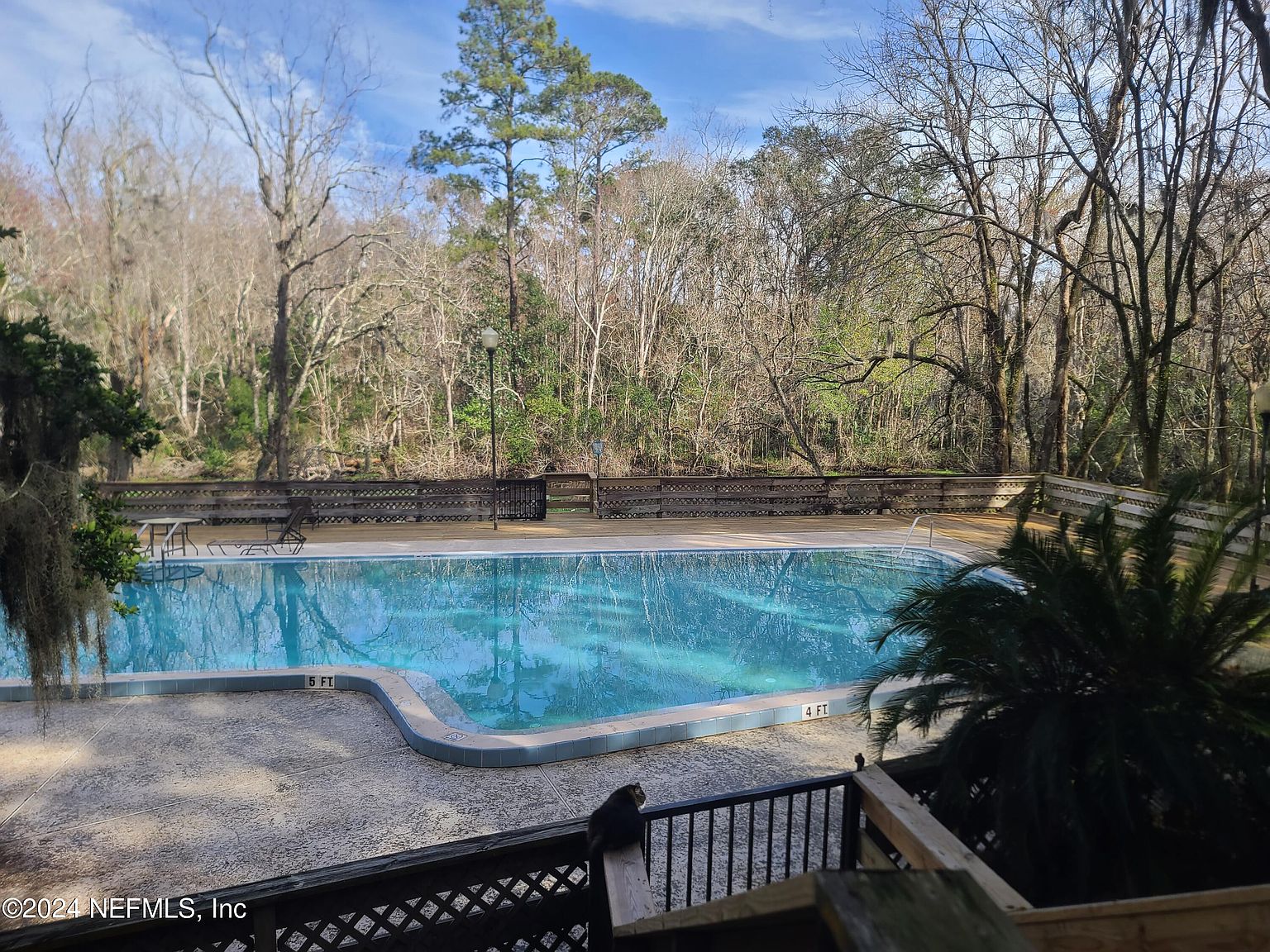1604 ARCADIA Drive UNIT 203, Jacksonville, FL 32207 Zillow