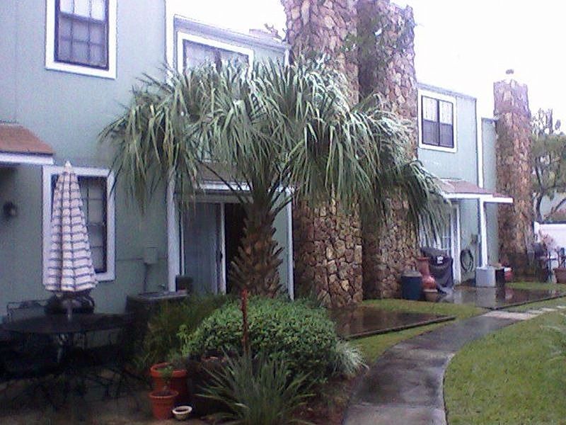 FrontView
