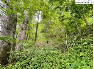 Tbd Ben Bolen Rd, Creston, NC 28615