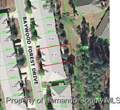 4th image of 18138 Baywood Forest Dr