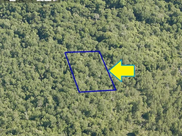 0 Access Lot 3.03 St, Mims, FL 32754