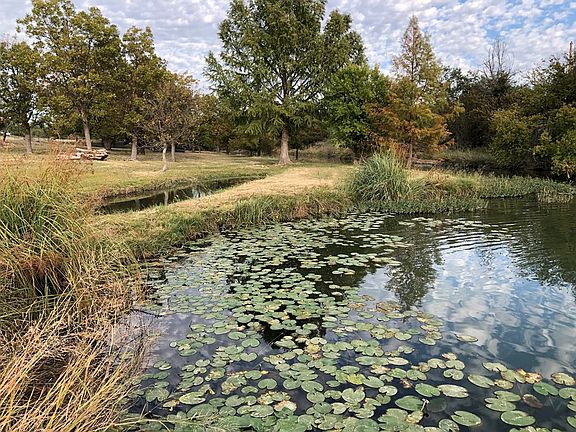 5th image of 10461 Twin Lakes Ln