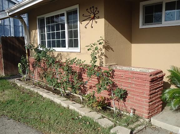 3rd image of 4351 Turnbridge Dr