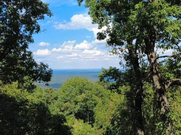 4520 Iron Mountain Rd, Mountain View, AR 72560