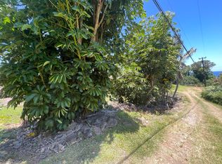 52-219 Poni Poni Pl, Kapaau, HI 96755