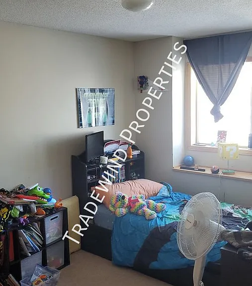 3592 McKenna Ct — Photo 10