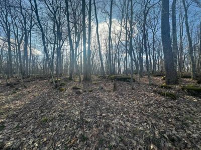 15 Betony Ln, Terra Alta, WV, 26764