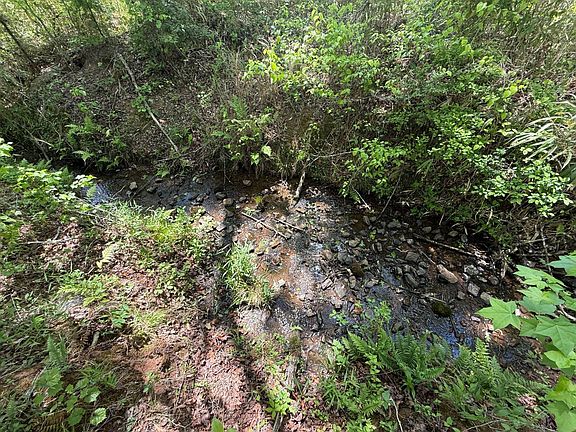 5th image of 0 County Road 695