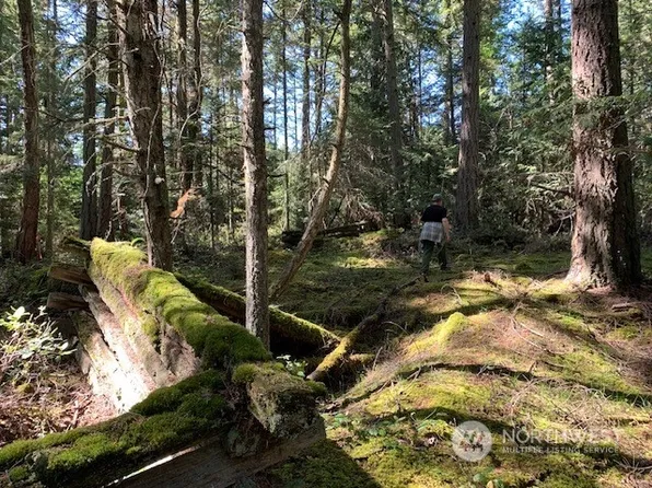 81 Lou's Ln, Shaw Island, WA 98286