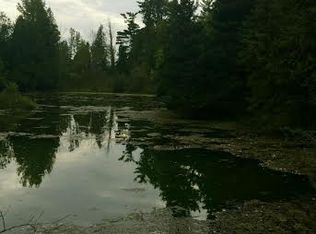 2196 N Black Rd, Trufant, MI 49347