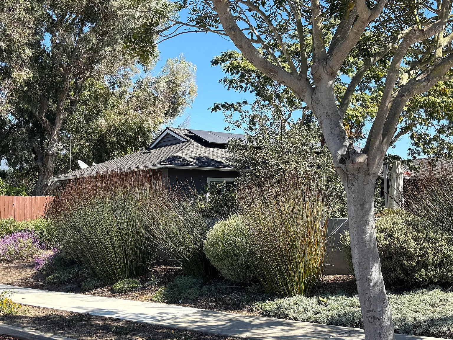 4680 La Loma Way — Photo 4