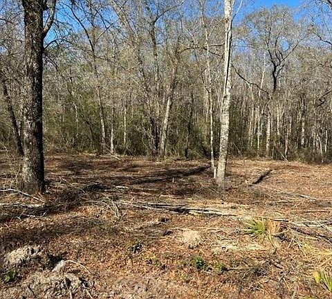 5th image of PARCEL 4 W Highway 196