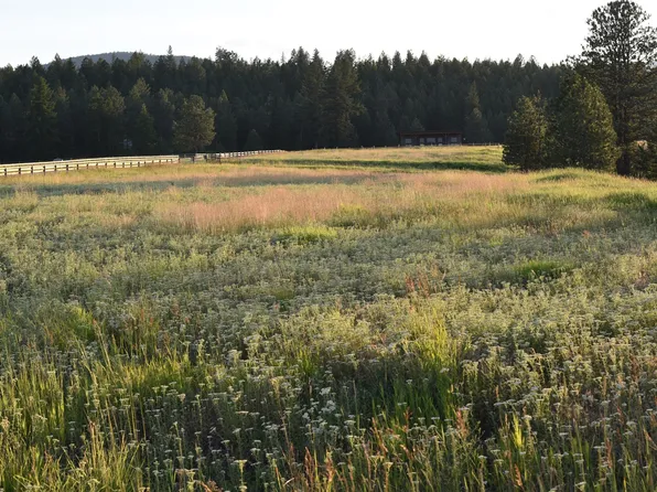 245 Shepherd Trl, Kalispell, MT 59901