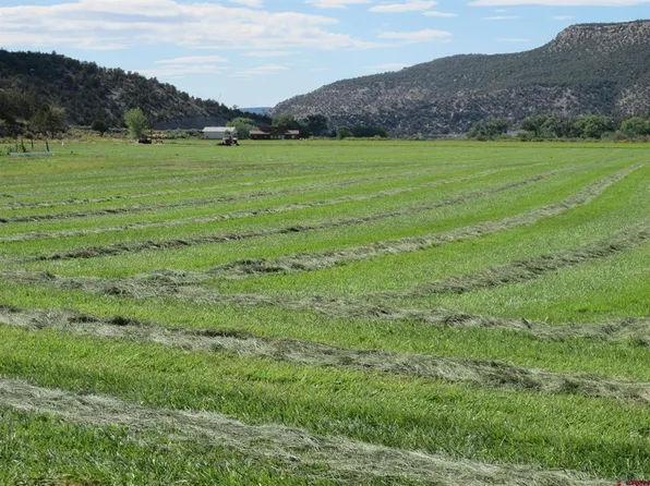 TBD Lot 1 Road G, Cortez, CO 81321