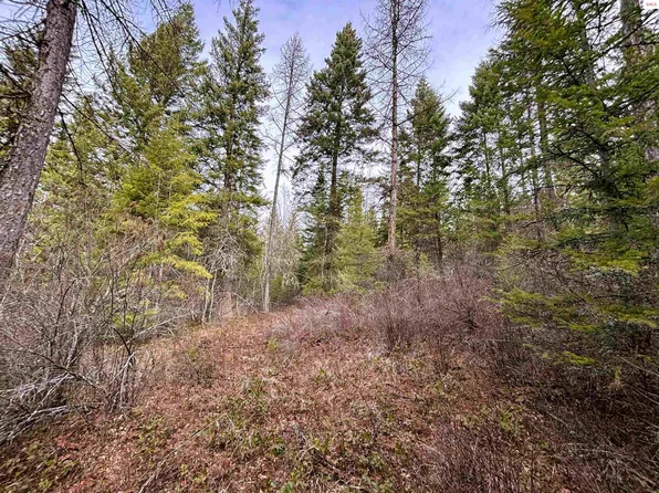 Nna No End Rd, Cocolalla, ID 83813