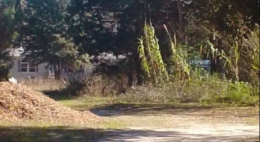 1st image of 1097 NE 118th Ave