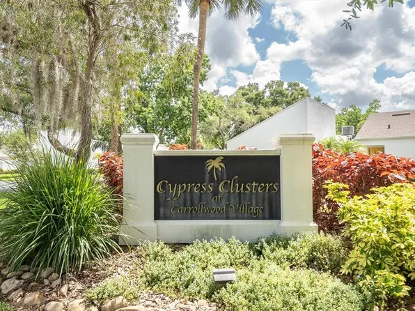 14118 Cypress Run #14, Tampa, FL 33618