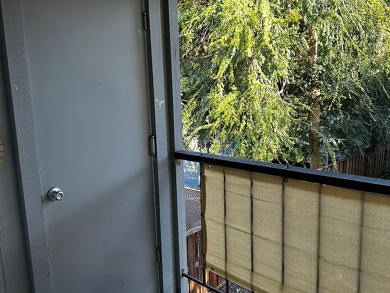1530 Sunnyvale Ave #12 — Photo 9