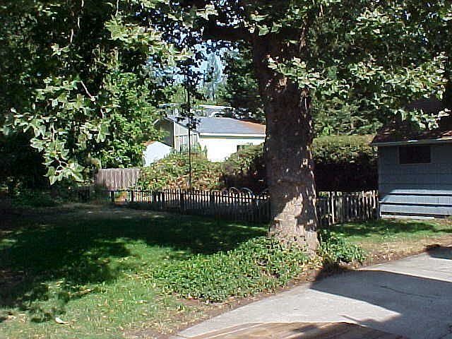 Rear lawn and huge garden