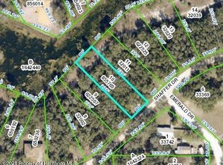 0 Shaffer Dr, Dade City, FL 33523