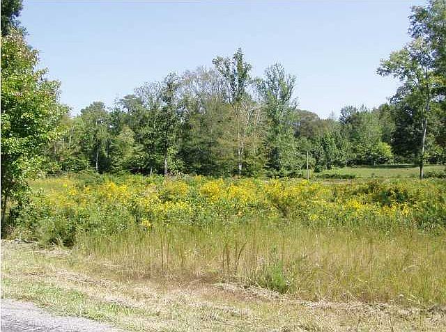 2nd image of 0 Pickett Ridge Rd