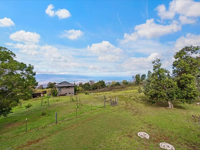 31 Hapapa Rd #B — Photo 41