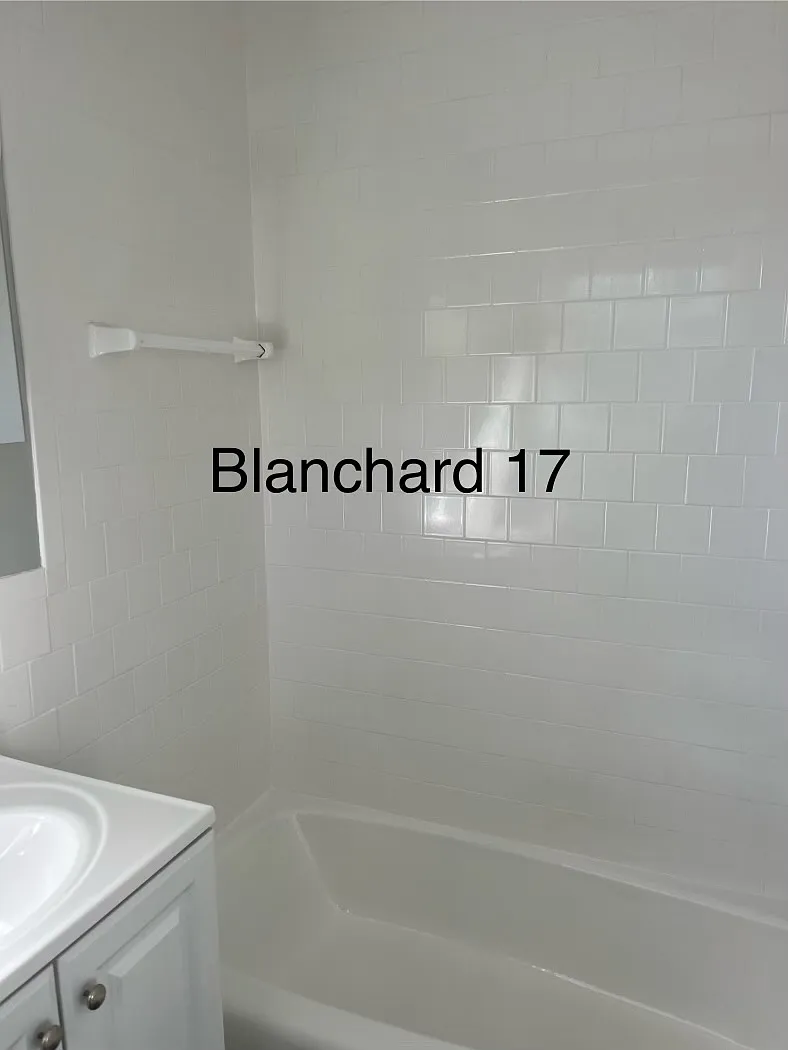 1 bed, $1,450 — Photo 4