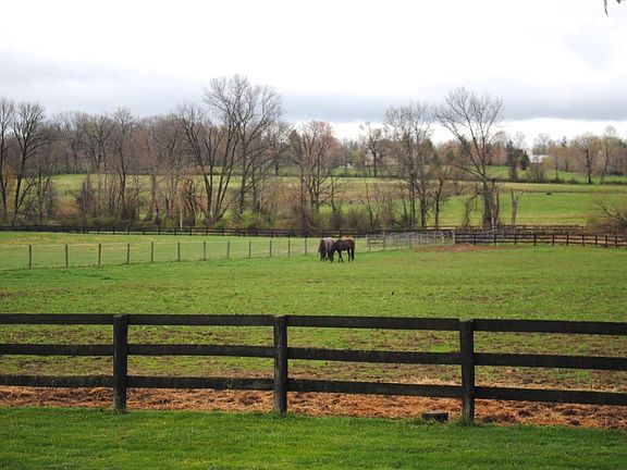 back field