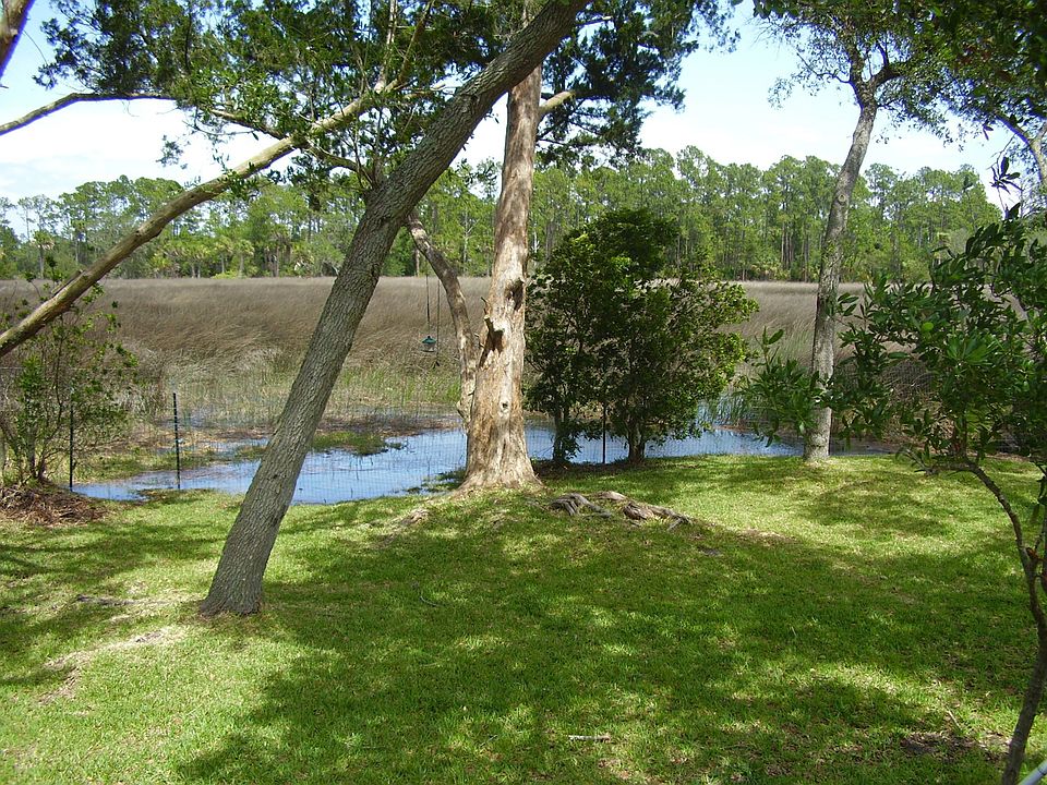 backyard view
