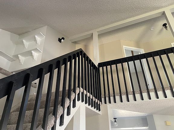 4th image of 4115 Scotch Pine Dr