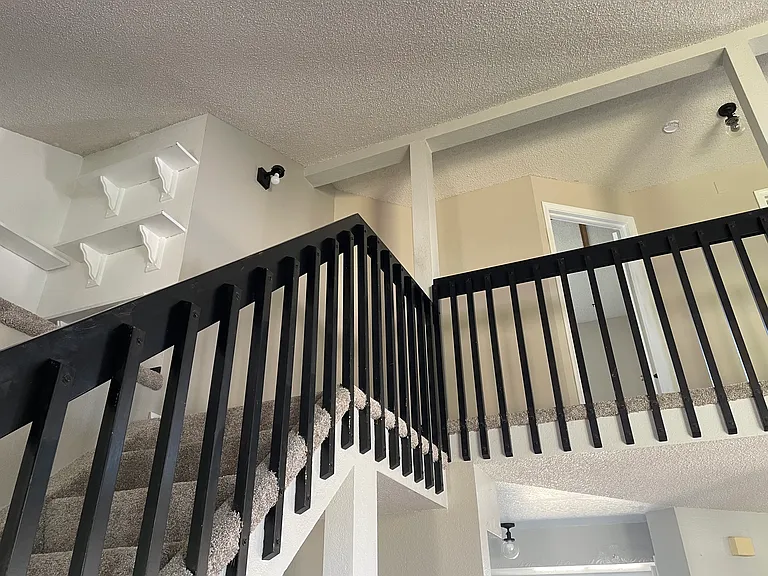 4115 Scotch Pine Dr — Photo 4