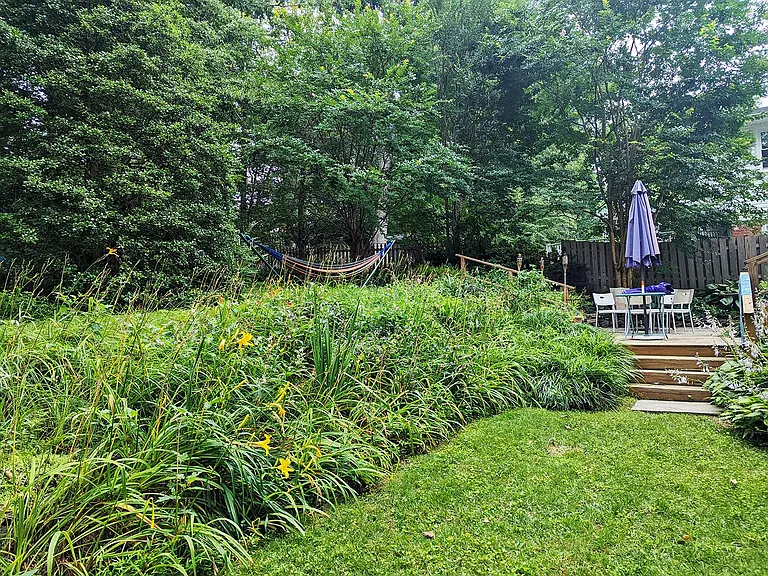 Backyard, view to the patio