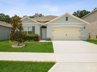 3669 Crimson Clover Dr, Mount Dora, FL 32757