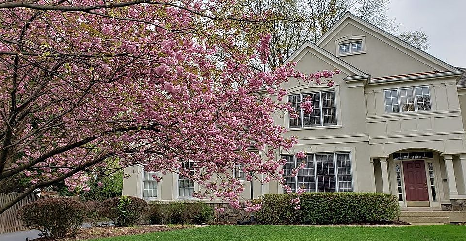 2nd image of 10116 Tate Ct