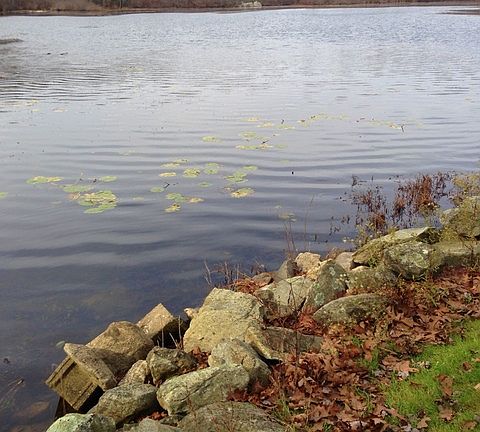 4th image of 15 Lake Louise Dr