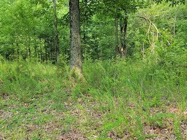 10816 Lucks Rd, Bumpass, VA 23024