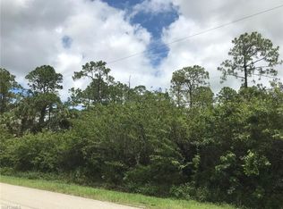 1660 19th St SW LOT 1, Naples, FL 34117