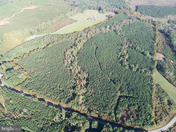 Boze Road Oak Butterwood #1, Dewitt, VA 23840