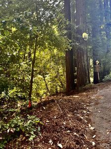 0 Waldeberg Rd, Ben Lomond, CA, 95005