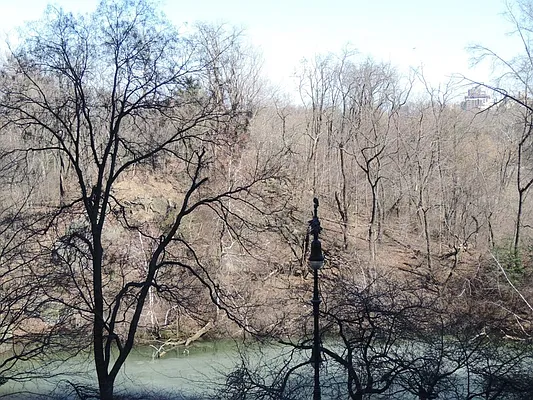 Rented by essential NEW YORK Real Estate | media 26