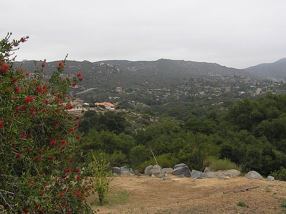 Sunrise Hill