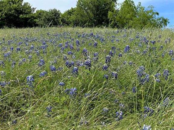 4th image of 3075 Rosebud Ct Lot 2460
