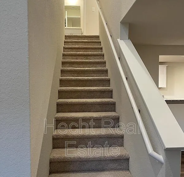 451 Forsythia — Photo 21
