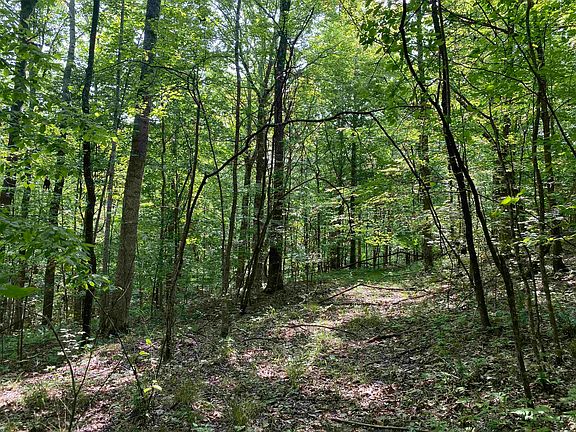 15th image of this home