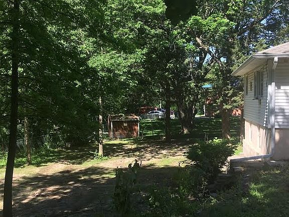 back yard