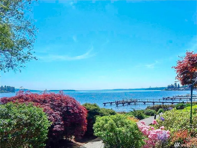 Beautiful yard