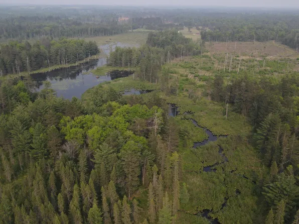 PARCEL Cherry Creek Trl #B, Grayling, MI 49738